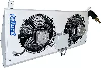 Belluna P205